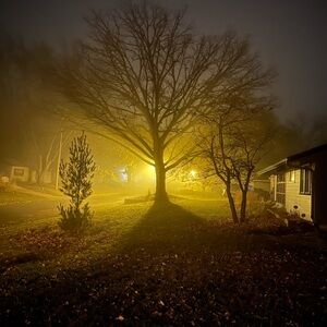 Meet your Posher, Nikki T